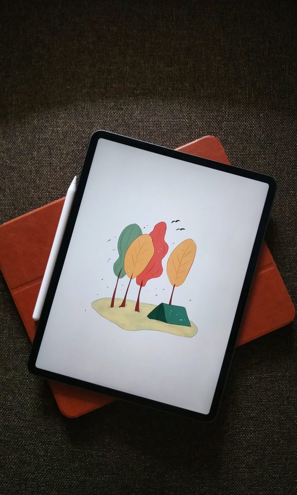 iPad Repair